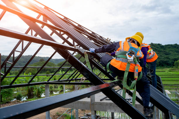 Best Storm Damage Roof Repair  in Kenyon, MN
