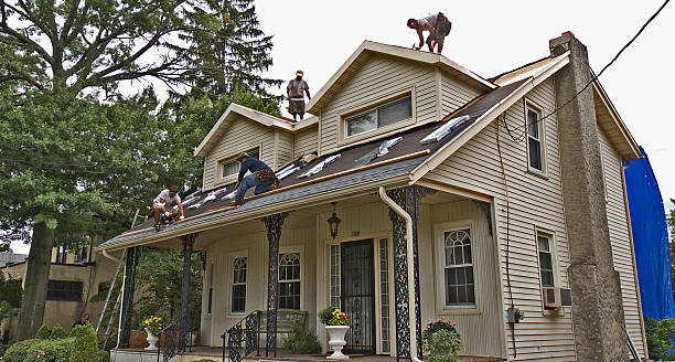 Quick and Trustworthy Emergency Roof Repair Services in Kenyon, MN